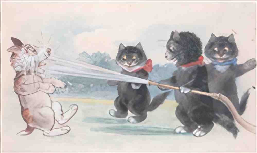 louis wain a cold shower Art A4 Photo Print
