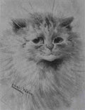 louis wain a ginger tom Art A4 Photo Print
