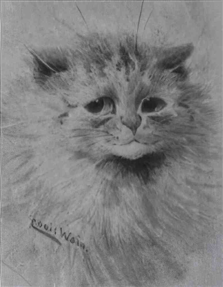 louis wain a ginger tom Art A4 Photo Print