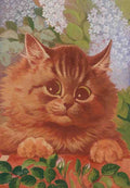 louis wain a quick peek Art A4 Photo Print