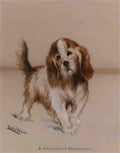 louis wain a rough haired bassethound Art A4 Photo Print