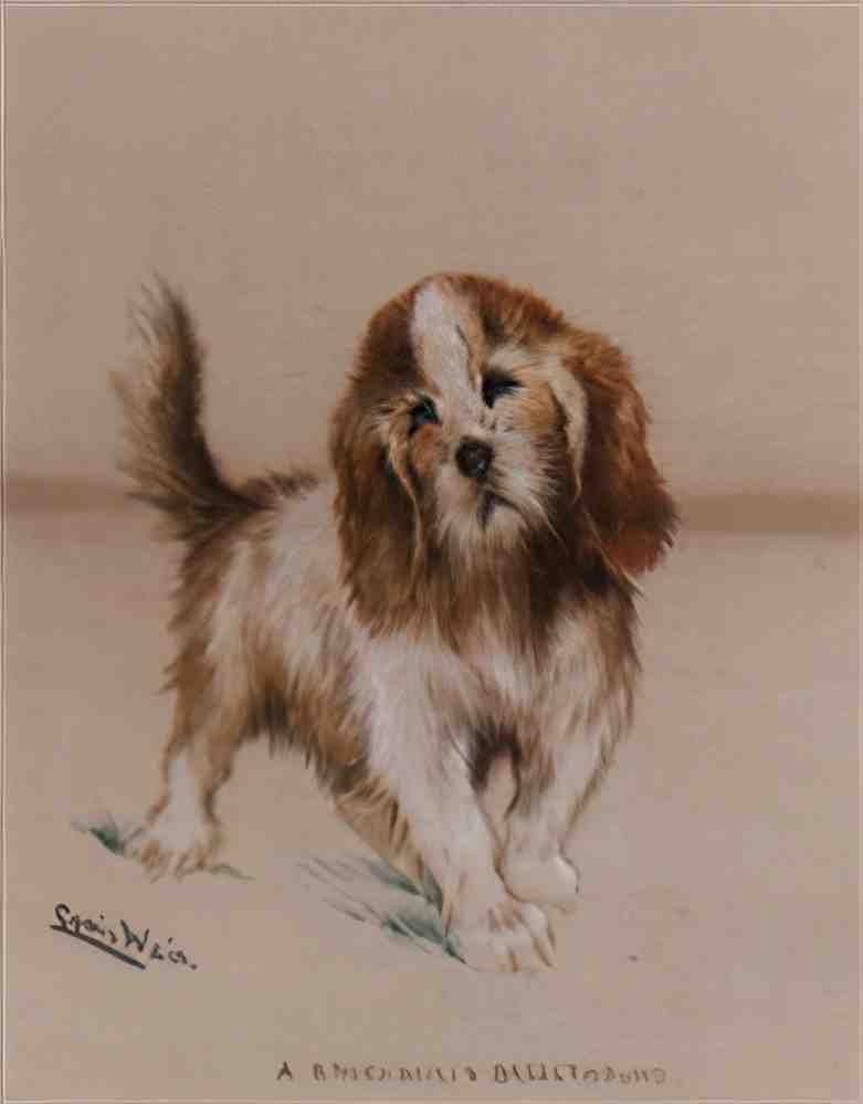 louis wain a rough haired bassethound Art A4 Photo Print