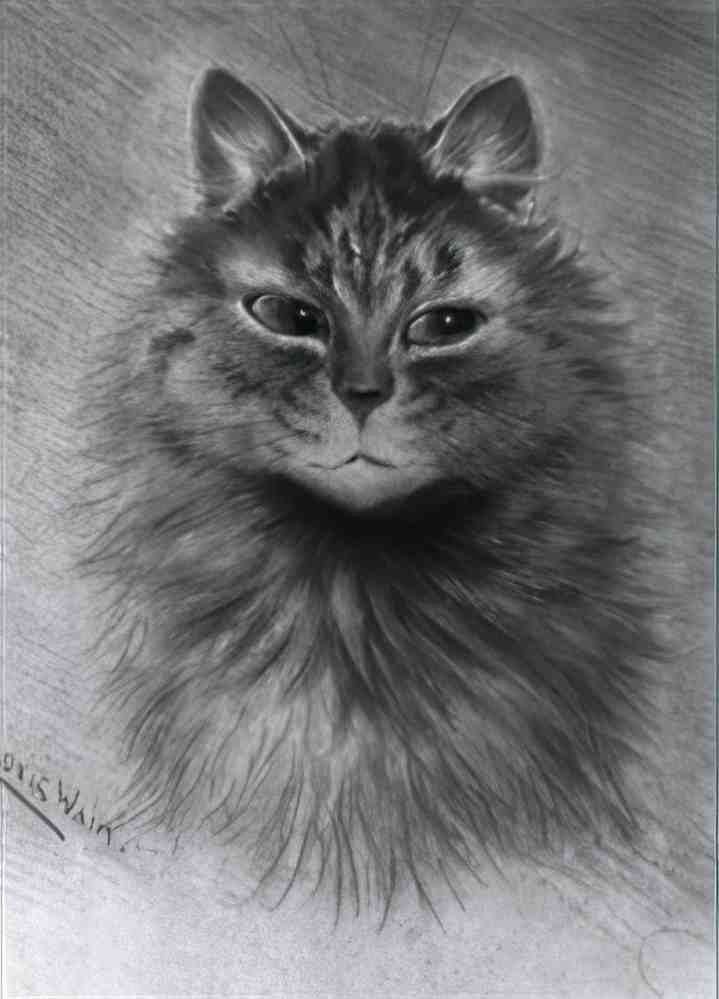louis wain a study of a cat Art A4 Photo Print