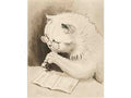 louis wain a study of a cat wearing spectacles and inspecting papers Art A4 Photo Print