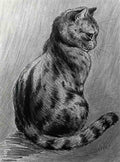 louis wain a study of a tabby cat Art A4 Photo Print