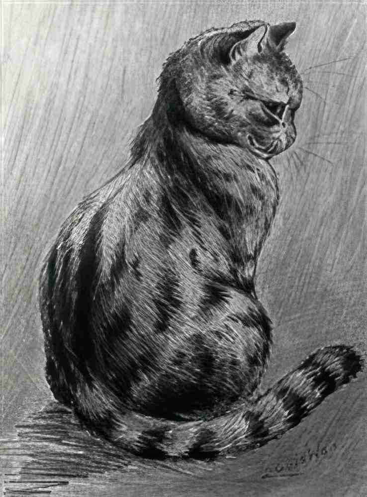 louis wain a study of a tabby cat Art A4 Photo Print