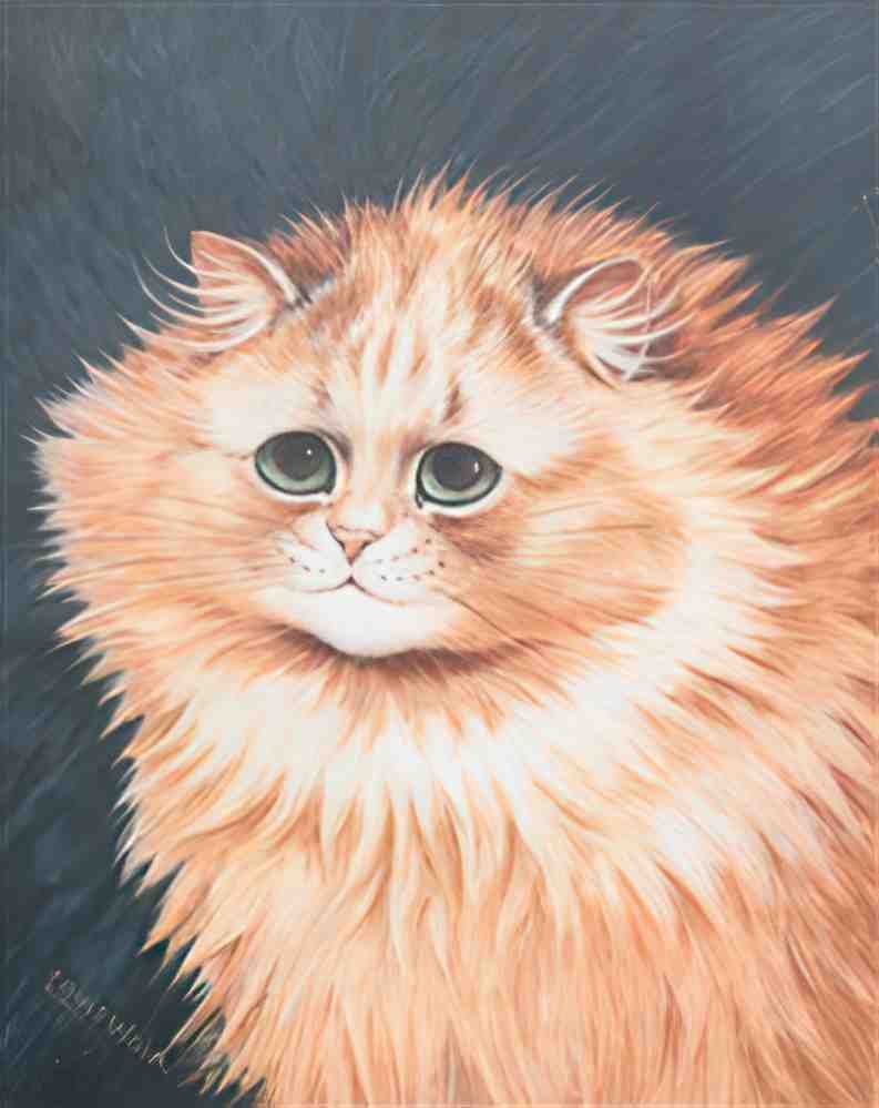 louis wain a tabby cat Art A4 Photo Print