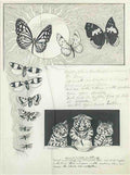 louis wain artwork for the 1915 annual Art A4 Photo Print