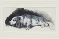 louis wain basset hound Art A4 Photo Print
