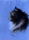 louis wain blue period cat Art A4 Photo Print