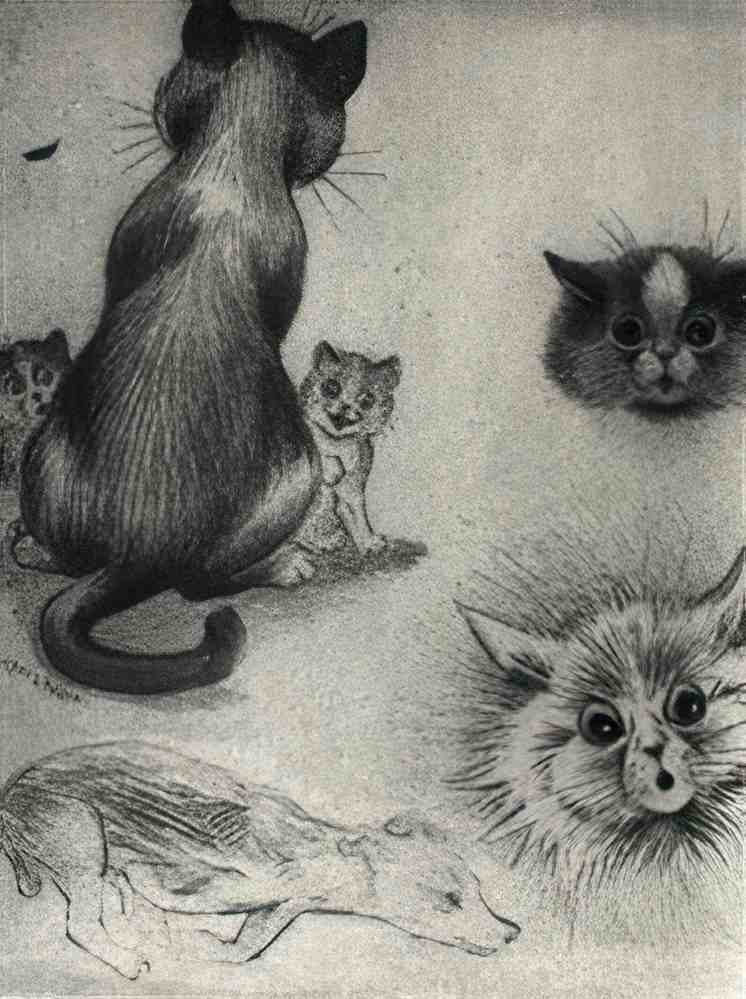 louis wain cat studies Art A4 Photo Print