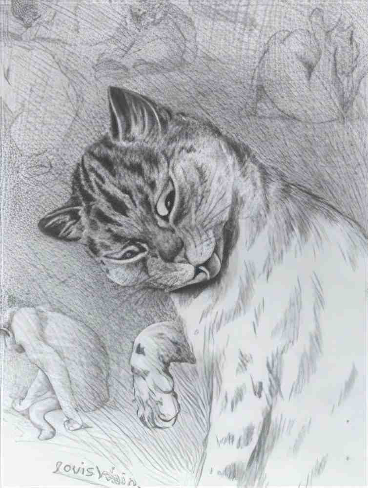 louis wain cats cleaning Art A4 Photo Print