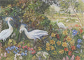 louis wain cranes in an exotic garden Art A4 Photo Print