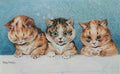 louis wain din din please Art A4 Photo Print