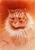 louis wain head study Art A4 Photo Print