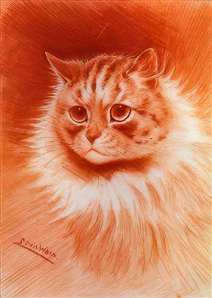 louis wain head study Art A4 Photo Print