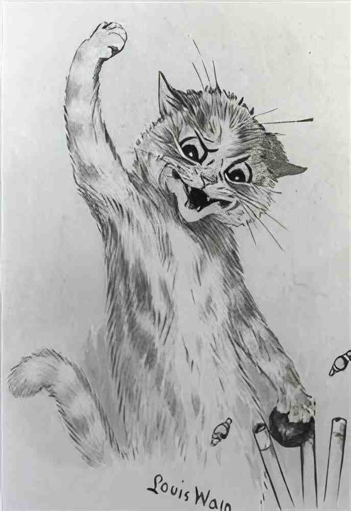 louis wain howzat Art A4 Photo Print