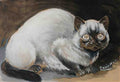 louis wain i am siamese if you please Art A4 Photo Print