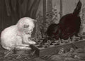 louis wain kattungar lekande med schackpjaser Art A4 Photo Print
