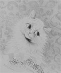 louis wain nice Art A4 Photo Print