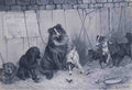 louis wain none may enter here Art A4 Photo Print