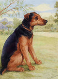 louis wain study of a dog Art A4 Photo Print
