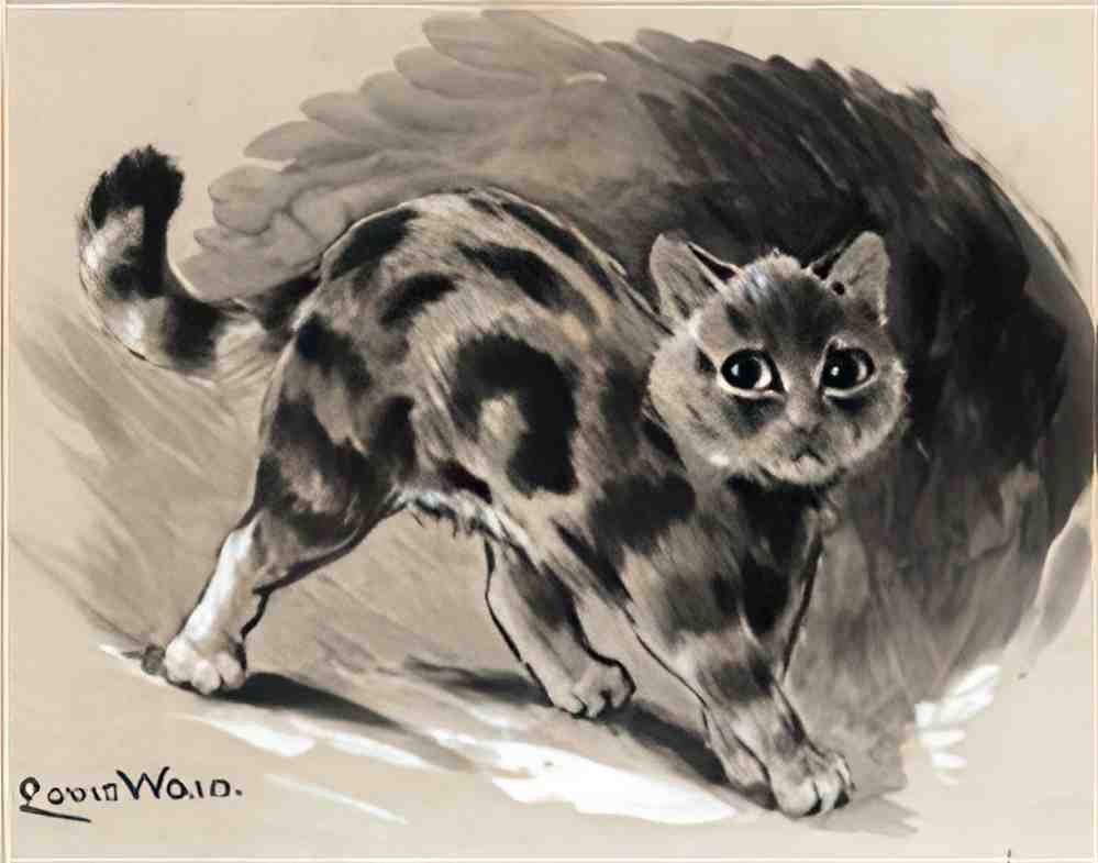 louis wain study of a kitten Art A4 Photo Print