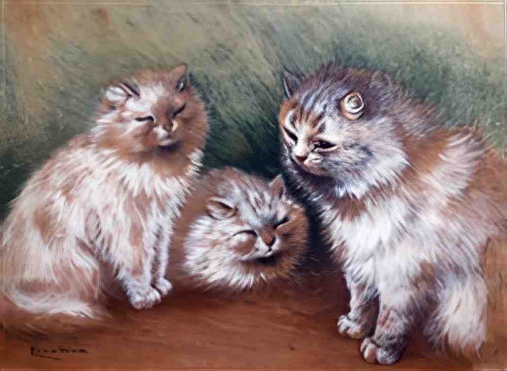 louis wain study of three cats Art A4 Photo Print