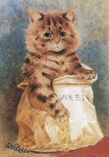 louis wain sweets Art A4 Photo Print