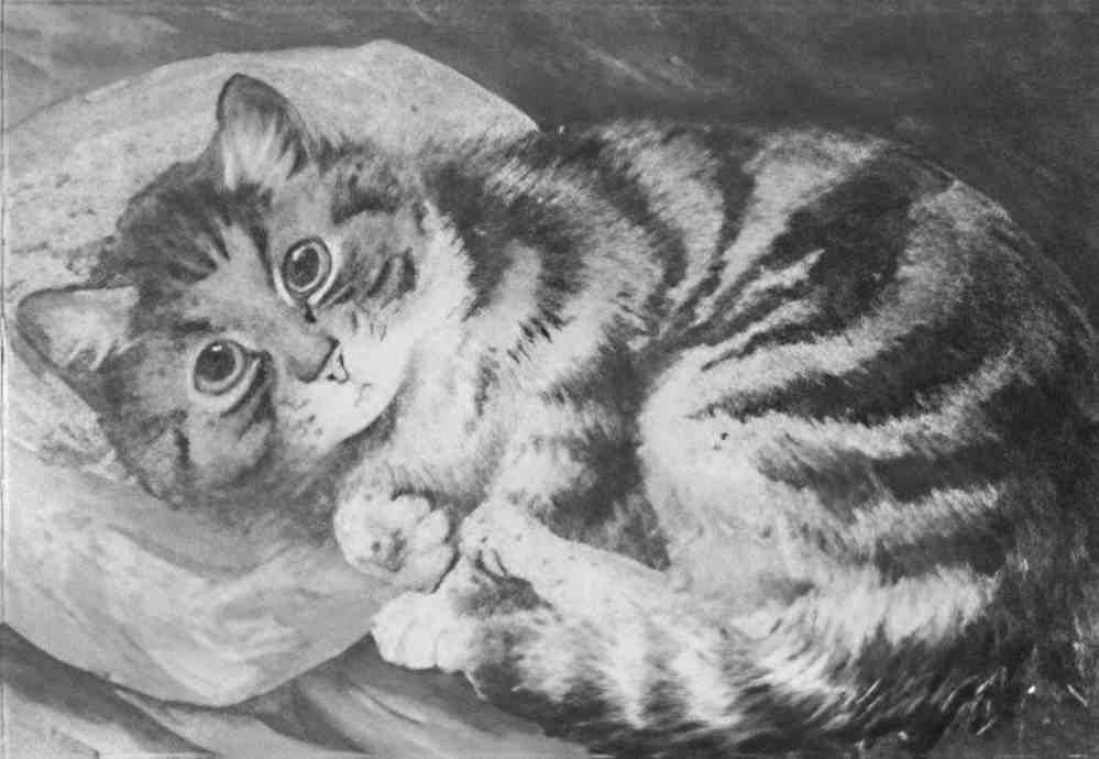 louis wain tabby cat curled up on a pillow Art A4 Photo Print