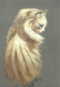 louis wain the ginger tom Art A4 Photo Print