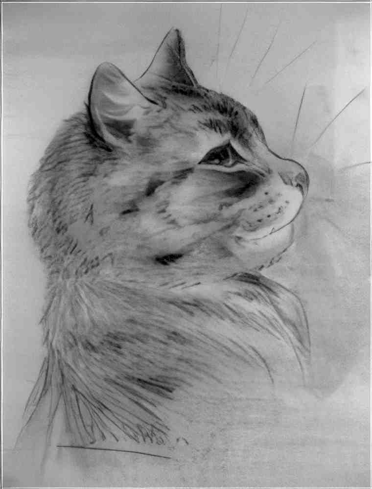 louis wain the happy cat Art A4 Photo Print