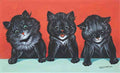 louis wain there is luck in odd numbers Art A4 Photo Print