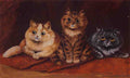 louis wain three bright eyed cats Art A4 Photo Print