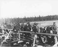 lumber jacks birds Vintage world war A4 Photo Print
