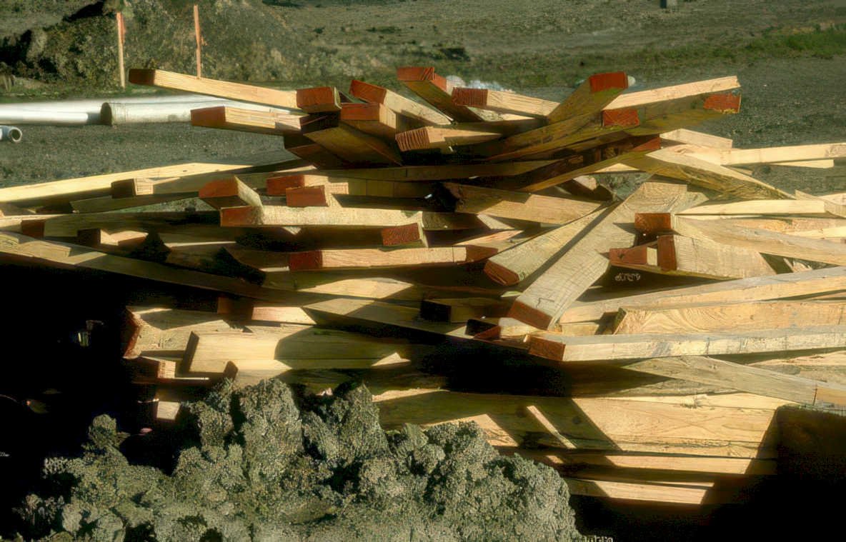 lumber pile wood Vintage A4 Photo Print