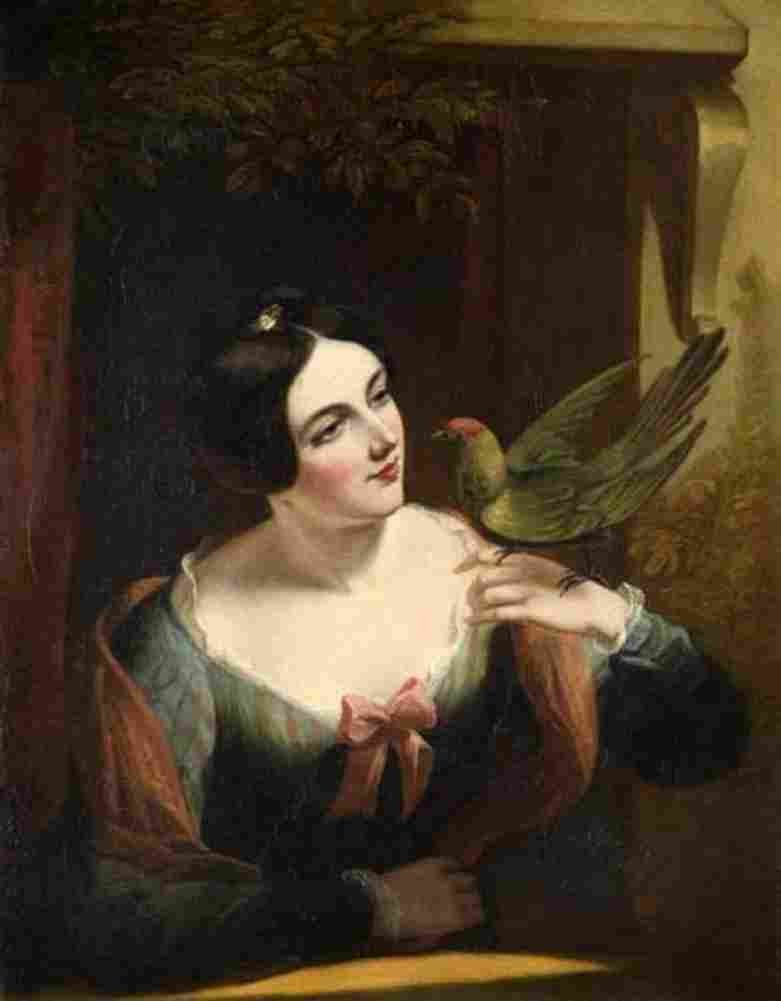 maclise The Pet Bird Art A4 Photo Print
