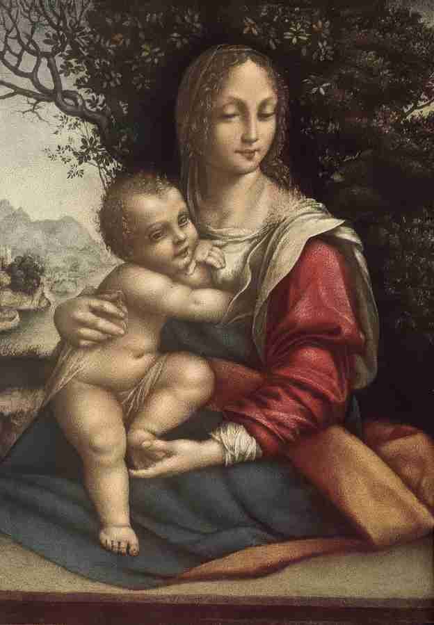 madonna 131 Art A4 Photo Print