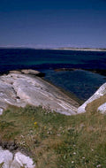 maine coast acadia 1 1980s 1990s A4 Photo Print