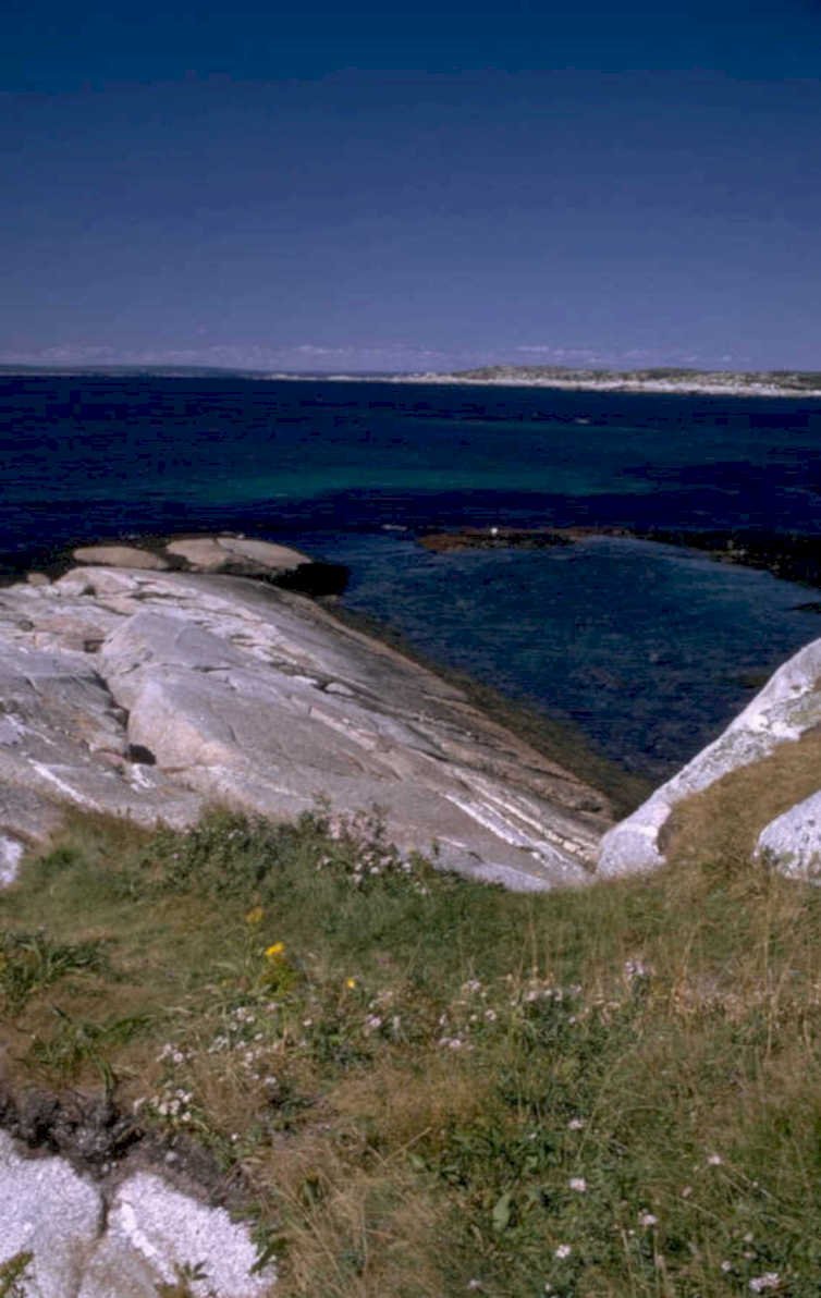 maine coast acadia 1 1980s 1990s A4 Photo Print