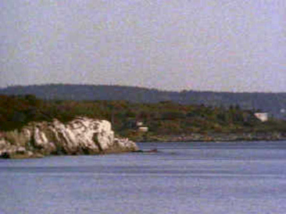 maine coast acadia1980s 1990s A4 Photo Print