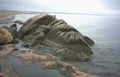 maine rocks acadia Vintage A4 Photo Print