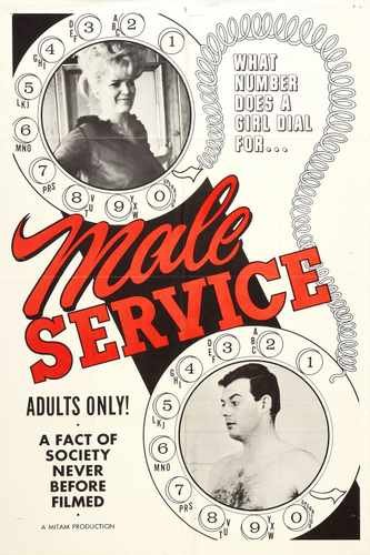 male service  01 film star poster A4 Photo Print