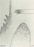 man ray cactus3 Art A4 Photo Print