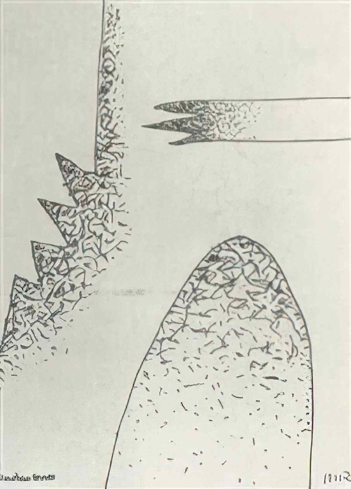 man ray cactus3 Art A4 Photo Print