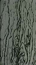 man ray image a deux faces Art A4 Photo Print