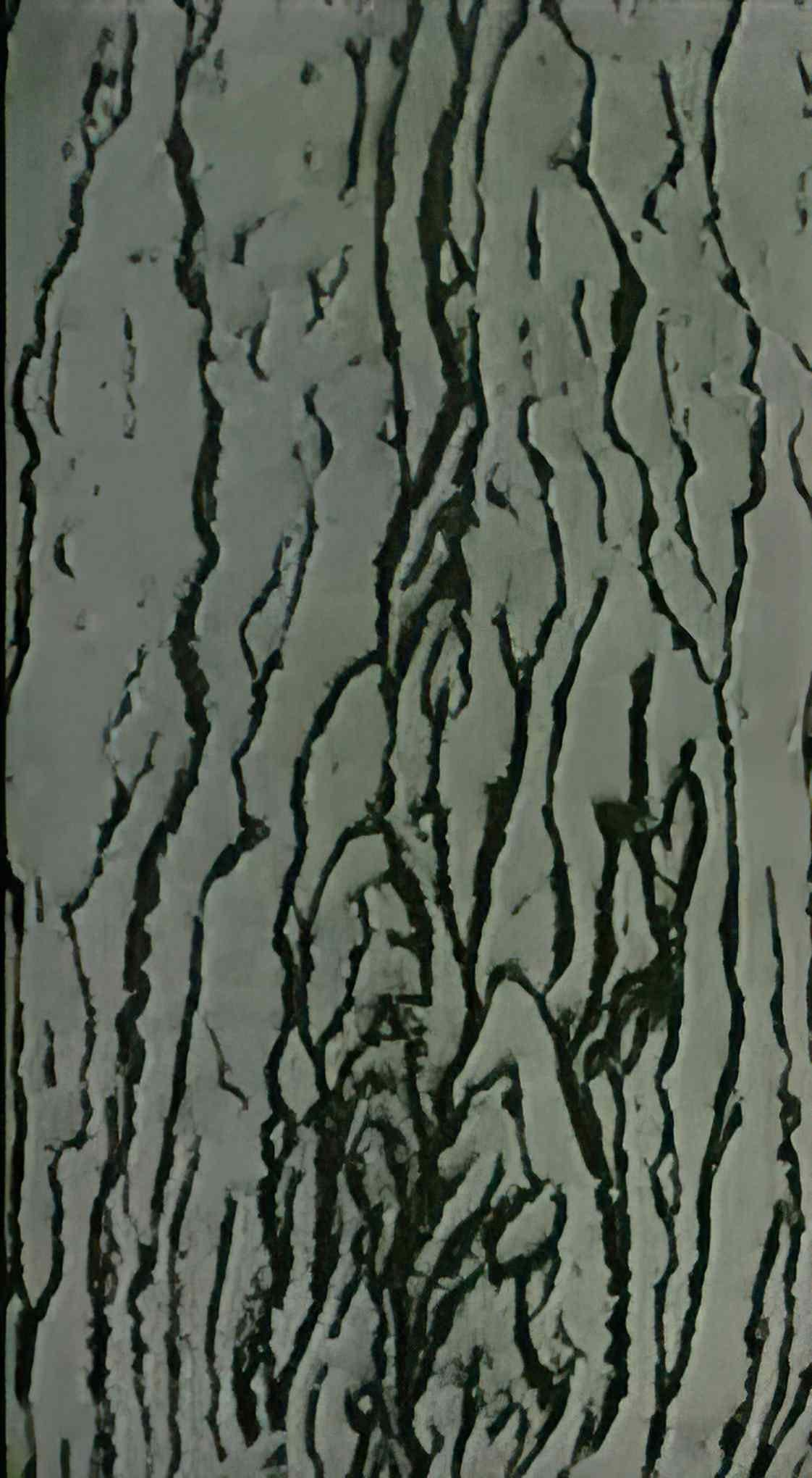 man ray image a deux faces Art A4 Photo Print
