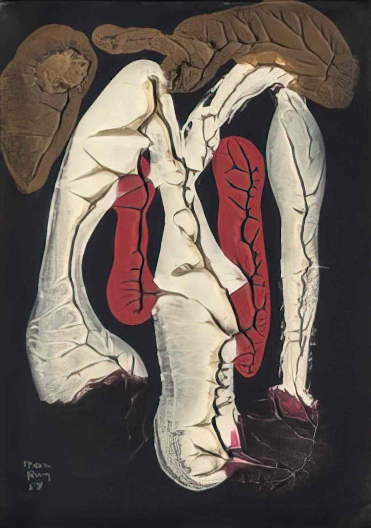 man ray larbre est une rose Art A4 Photo Print