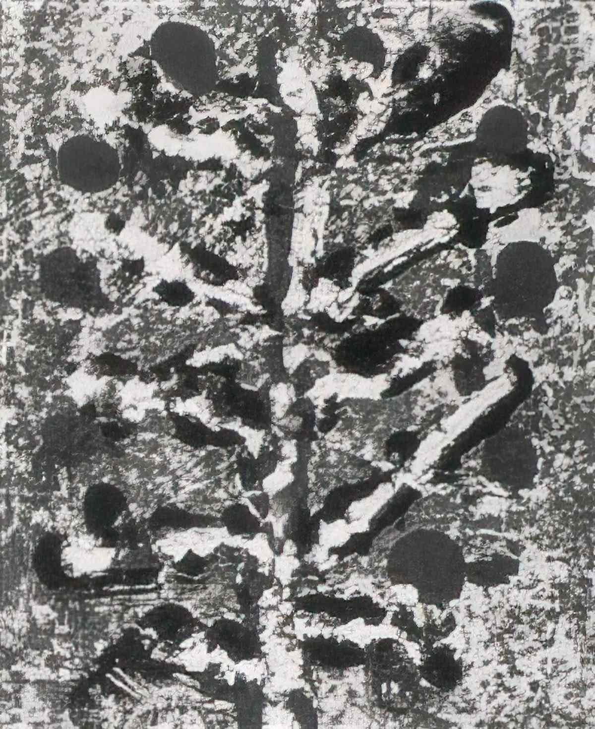 man ray main ray Art A4 Photo Print