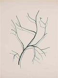 man ray ohne titel5 Art A4 Photo Print